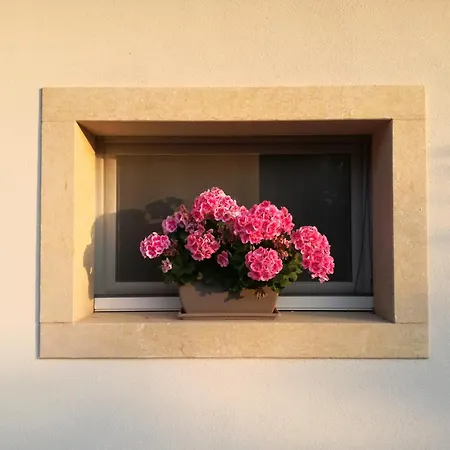 فندق مبيت وإفطار Relais Colle San Giorgio باردولينو